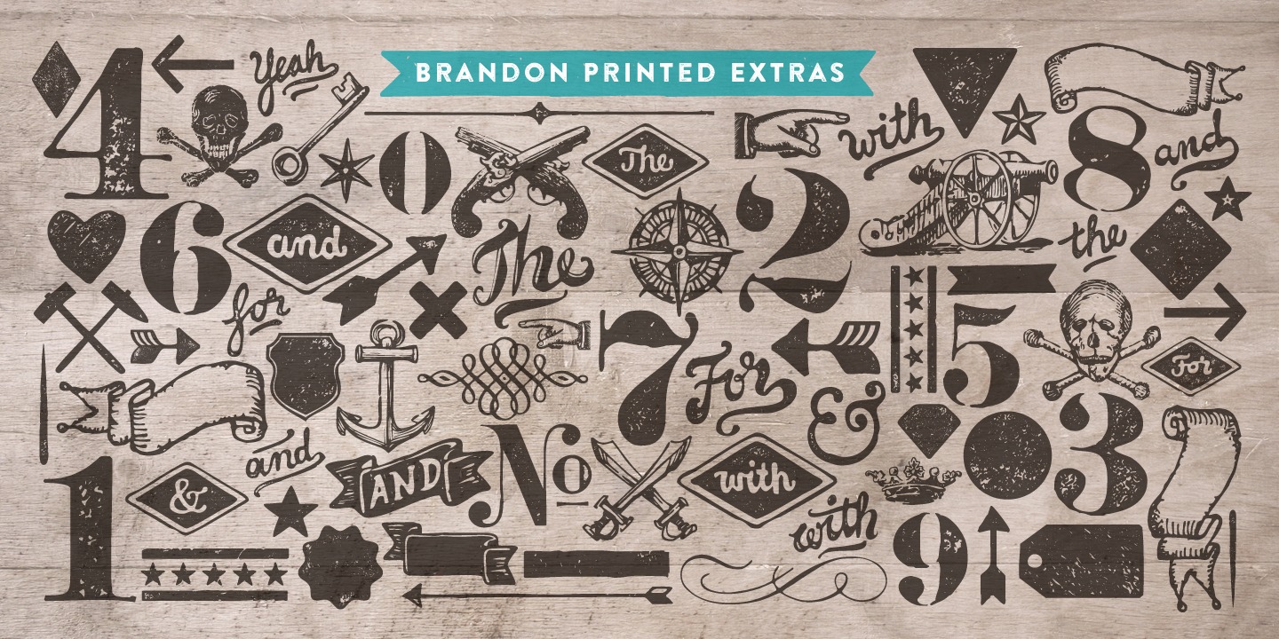 Przykładowa czcionka Brandon Printed #5