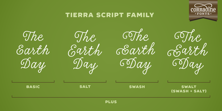 Przykładowa czcionka Tierra Script #2