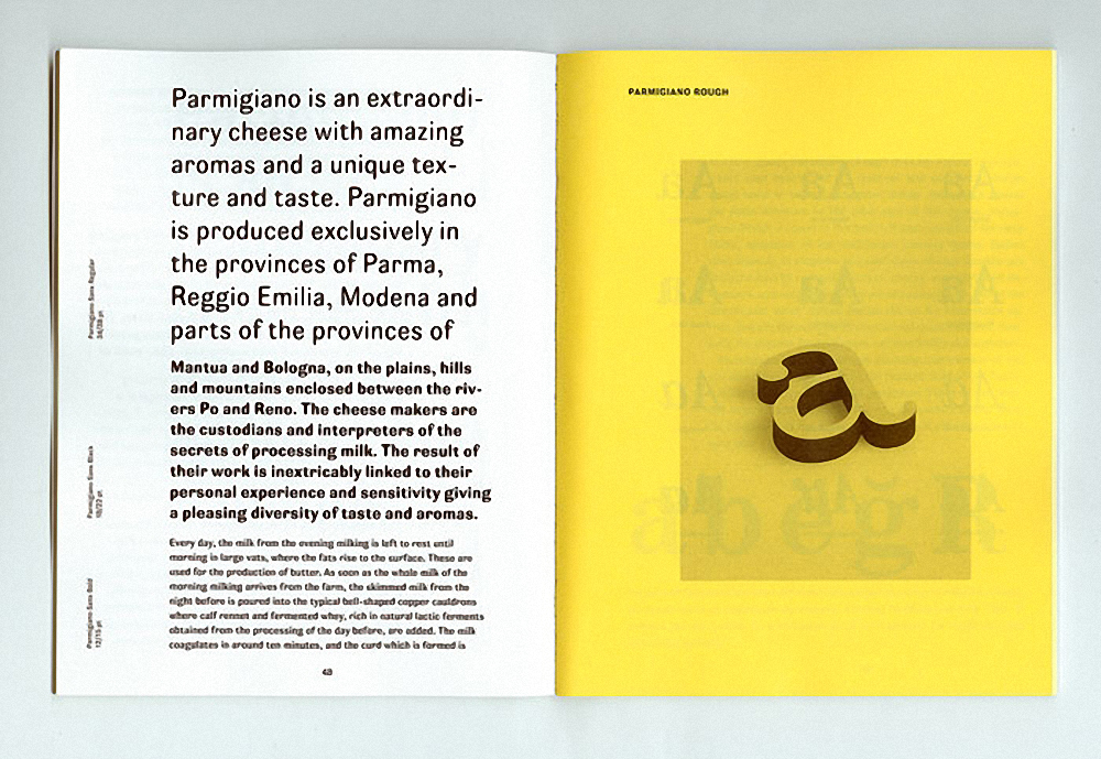 Przykładowa czcionka Parmigiano Text Pro #3