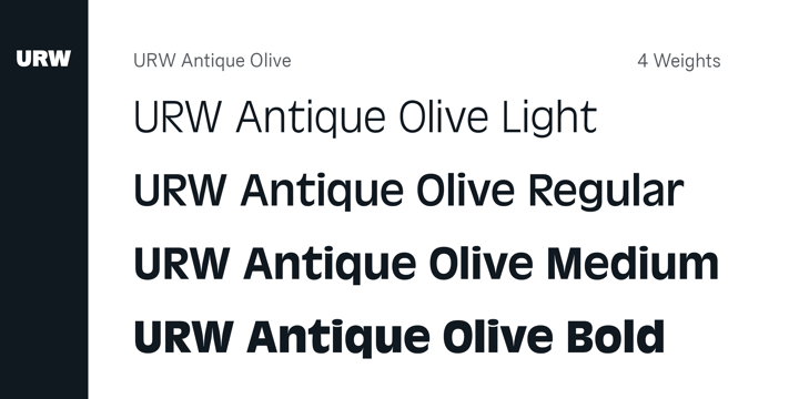 Przykładowa czcionka Antique Olive #3