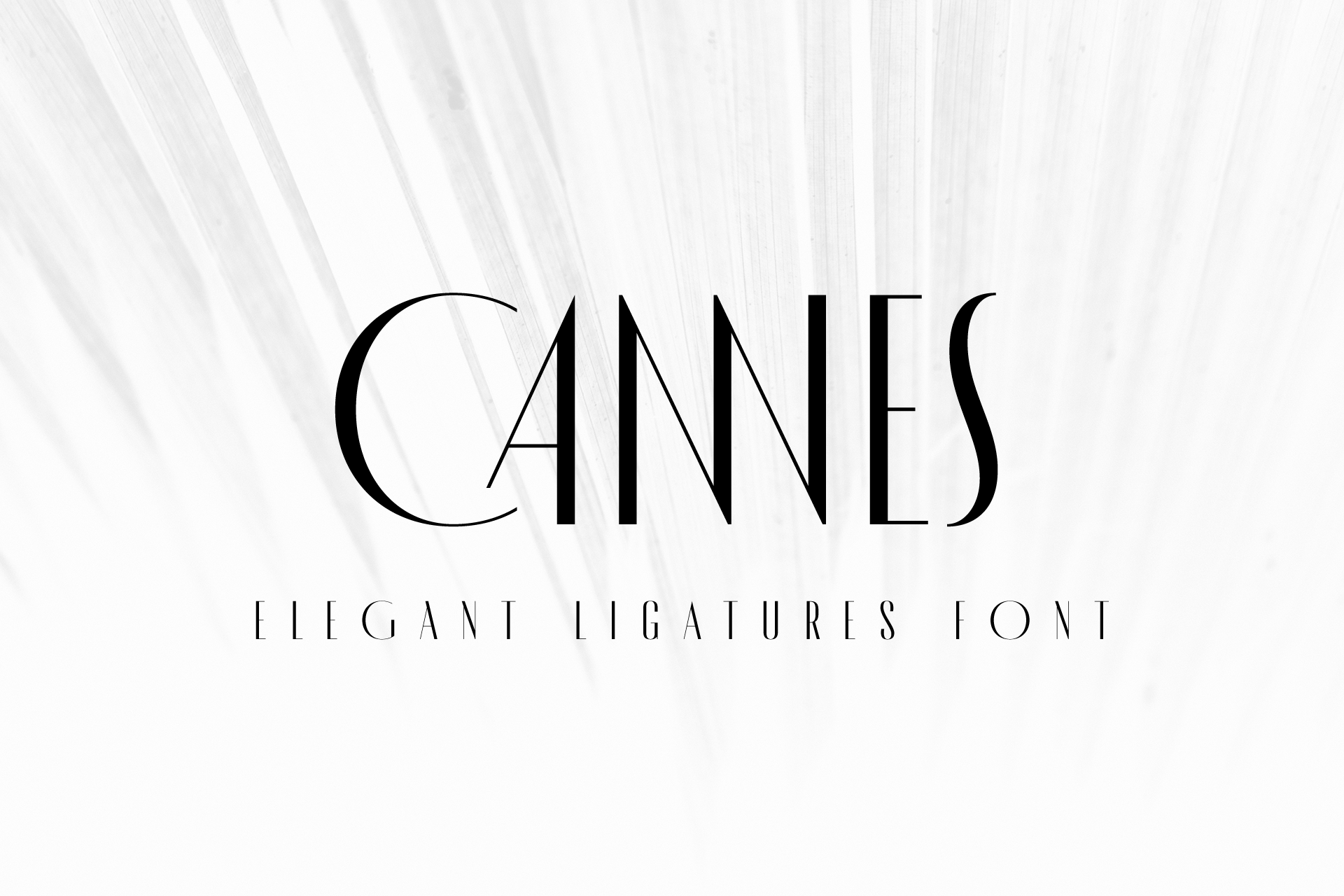 Przykładowa czcionka MADE Cannes #1