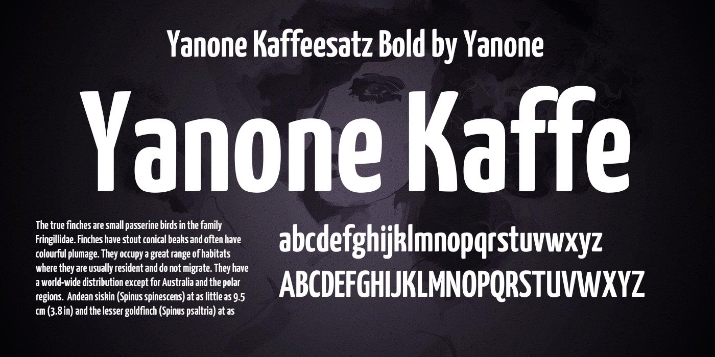 Przykładowa czcionka Yanone Kaffeesatz #1