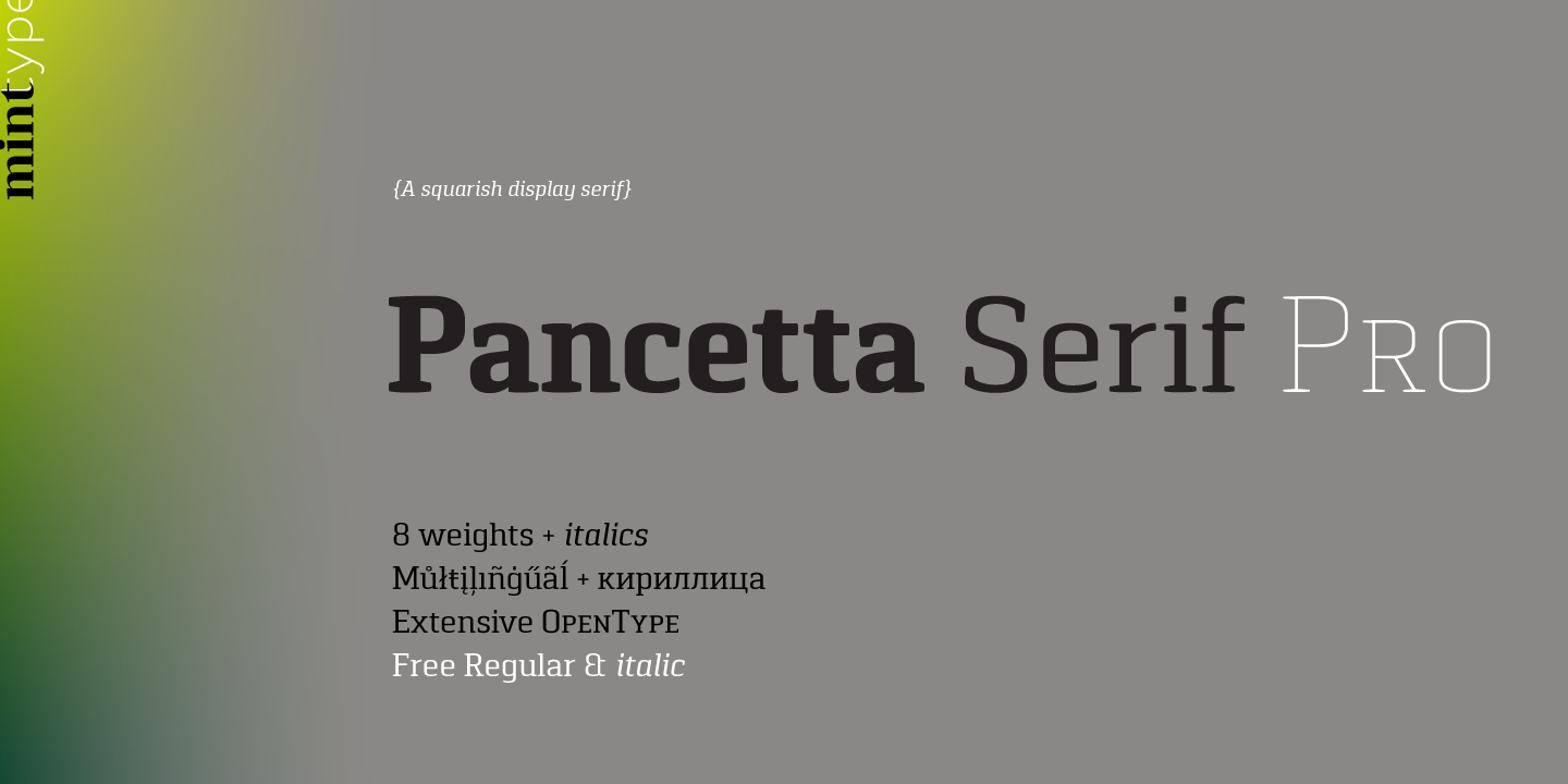 Przykładowa czcionka Pancetta Serif Pro #1