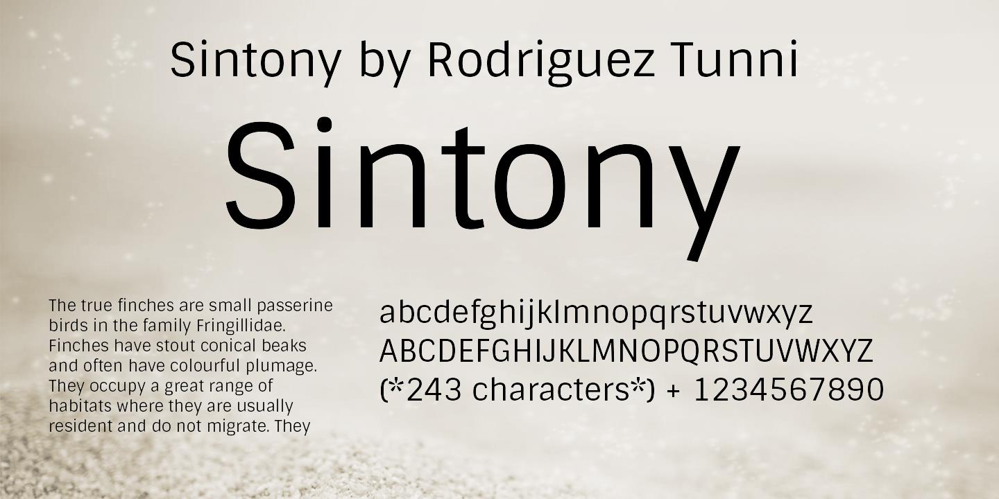 Przykładowa czcionka Sintony #1