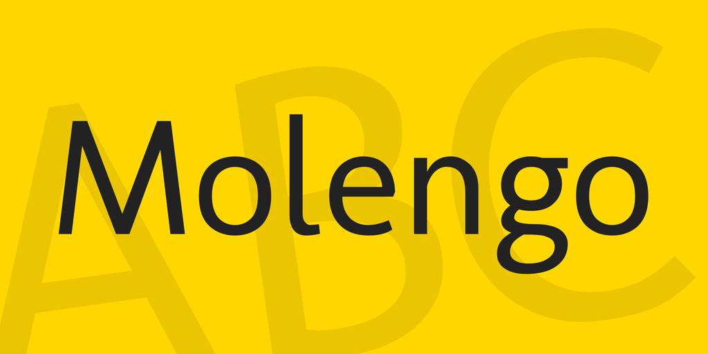 Przykładowa czcionka Molengo #1