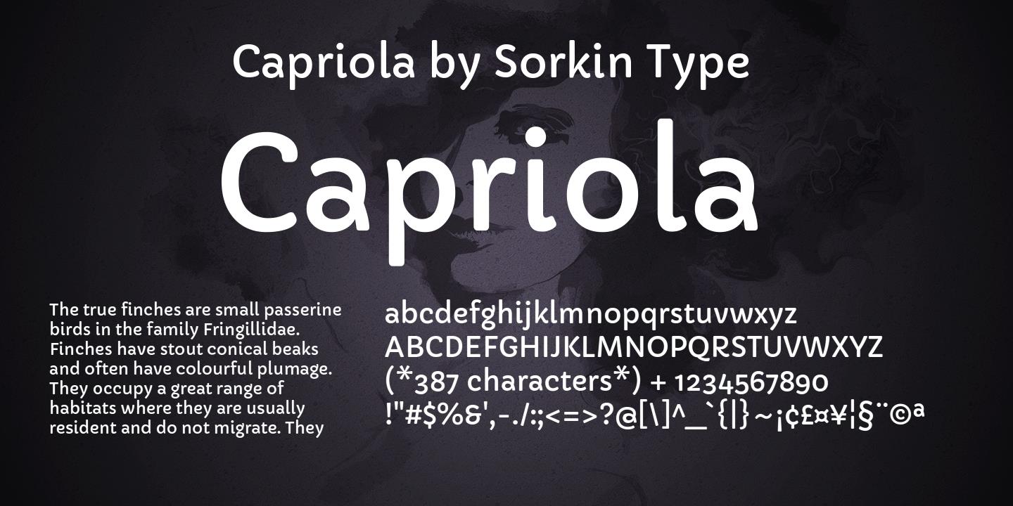 Przykładowa czcionka Capriola #1