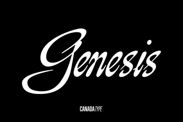 Przykładowa czcionka Genesis Sans #1