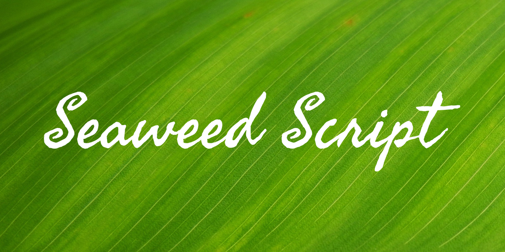 Przykładowa czcionka Seaweed Script #1