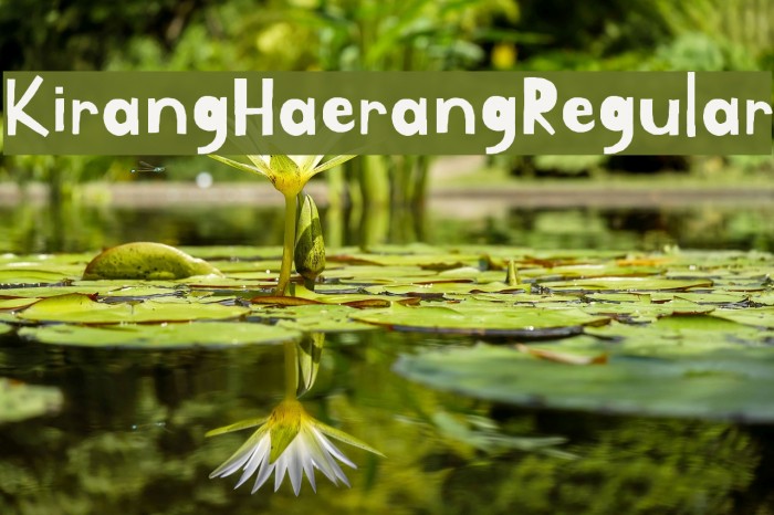 Przykładowa czcionka Kirang Haerang #1