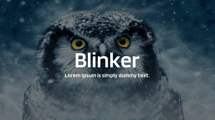 Przykładowa czcionka Blinker #1