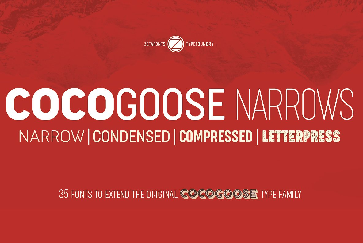 Przykładowa czcionka Cocogoose #1