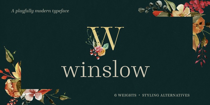 Przykładowa czcionka Winslow Book #1