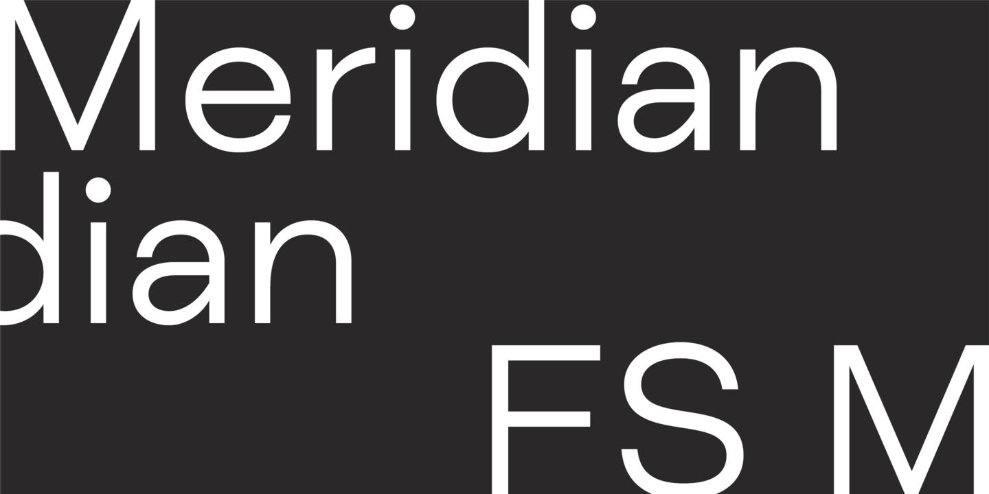 Przykładowa czcionka FS Meridian #1