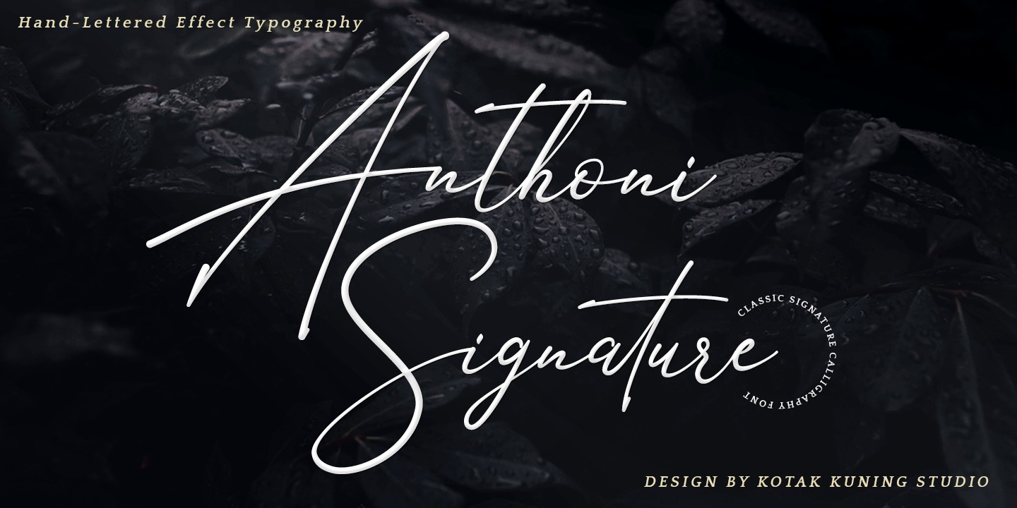 Przykładowa czcionka Anthoni Signature #1