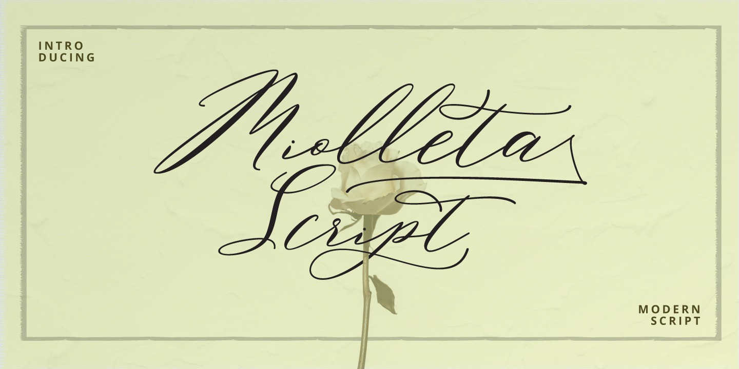 Przykładowa czcionka Miolleta Script #1