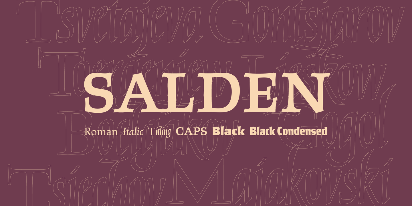 Przykładowa czcionka Salden #1
