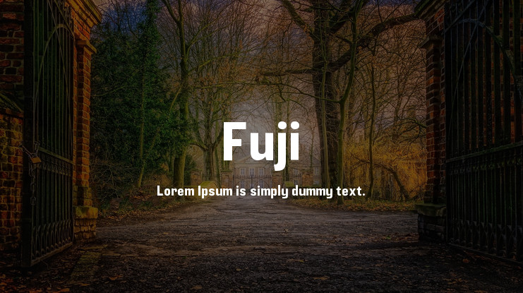 Przykładowa czcionka Fuji #1
