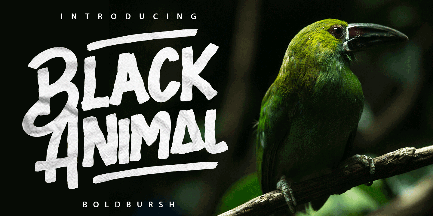 Przykładowa czcionka Black Animal #1