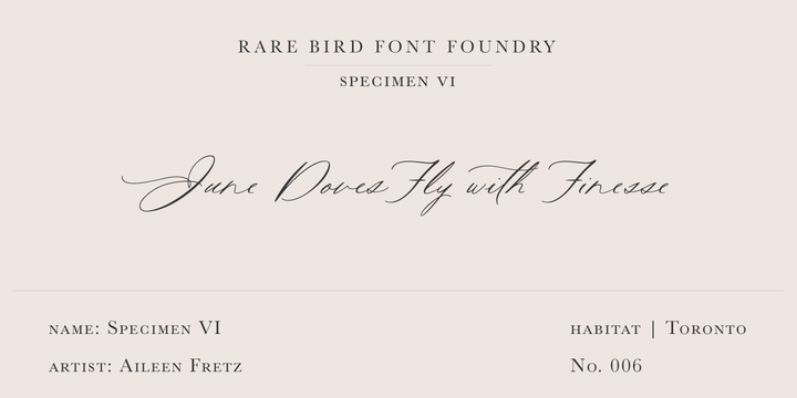 Przykładowa czcionka Rare Bird Specimen VI #1