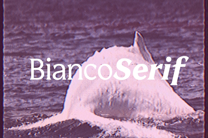 Przykładowa czcionka Bianco Serif #1