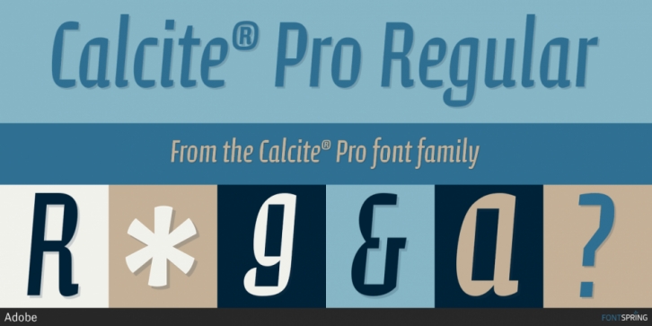 Przykładowa czcionka Calcite Pro #1