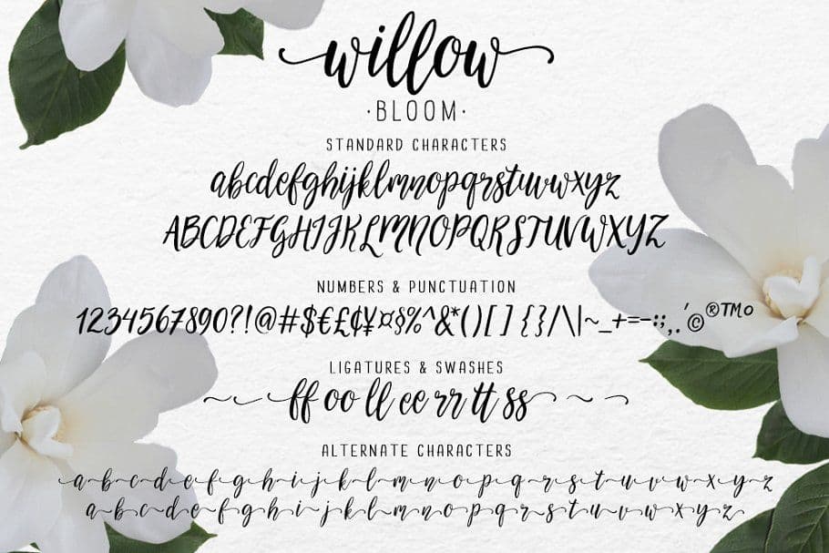 Przykładowa czcionka Willow #1