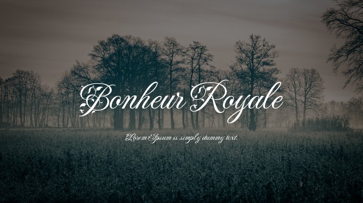 Przykładowa czcionka Bonheur Royale #1