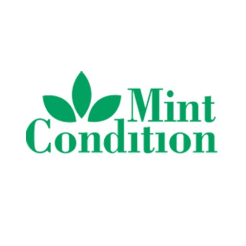 Przykładowa czcionka Mint Condition #1