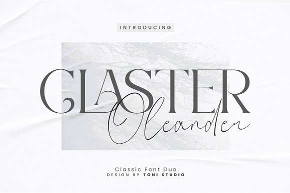 Przykładowa czcionka Claster Oleander #1