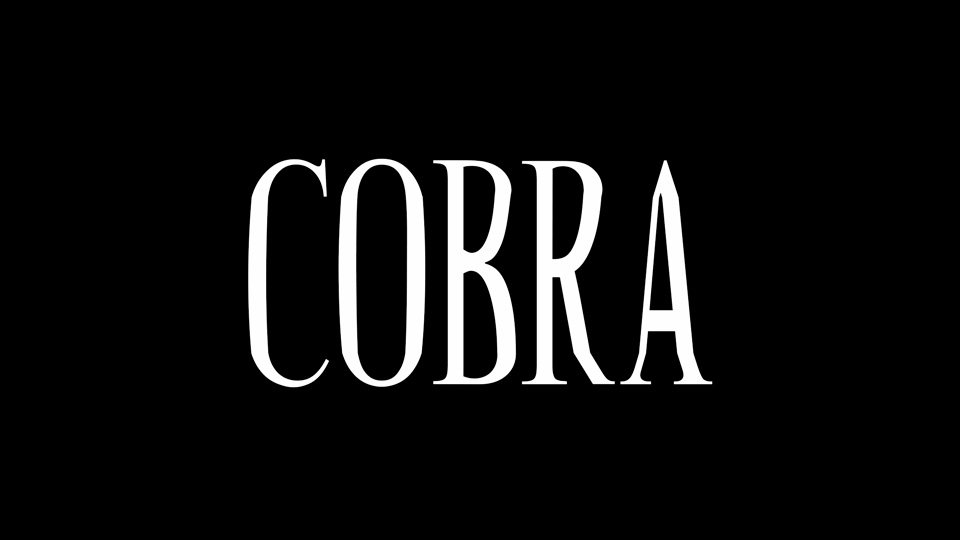 Przykładowa czcionka Cobra #1