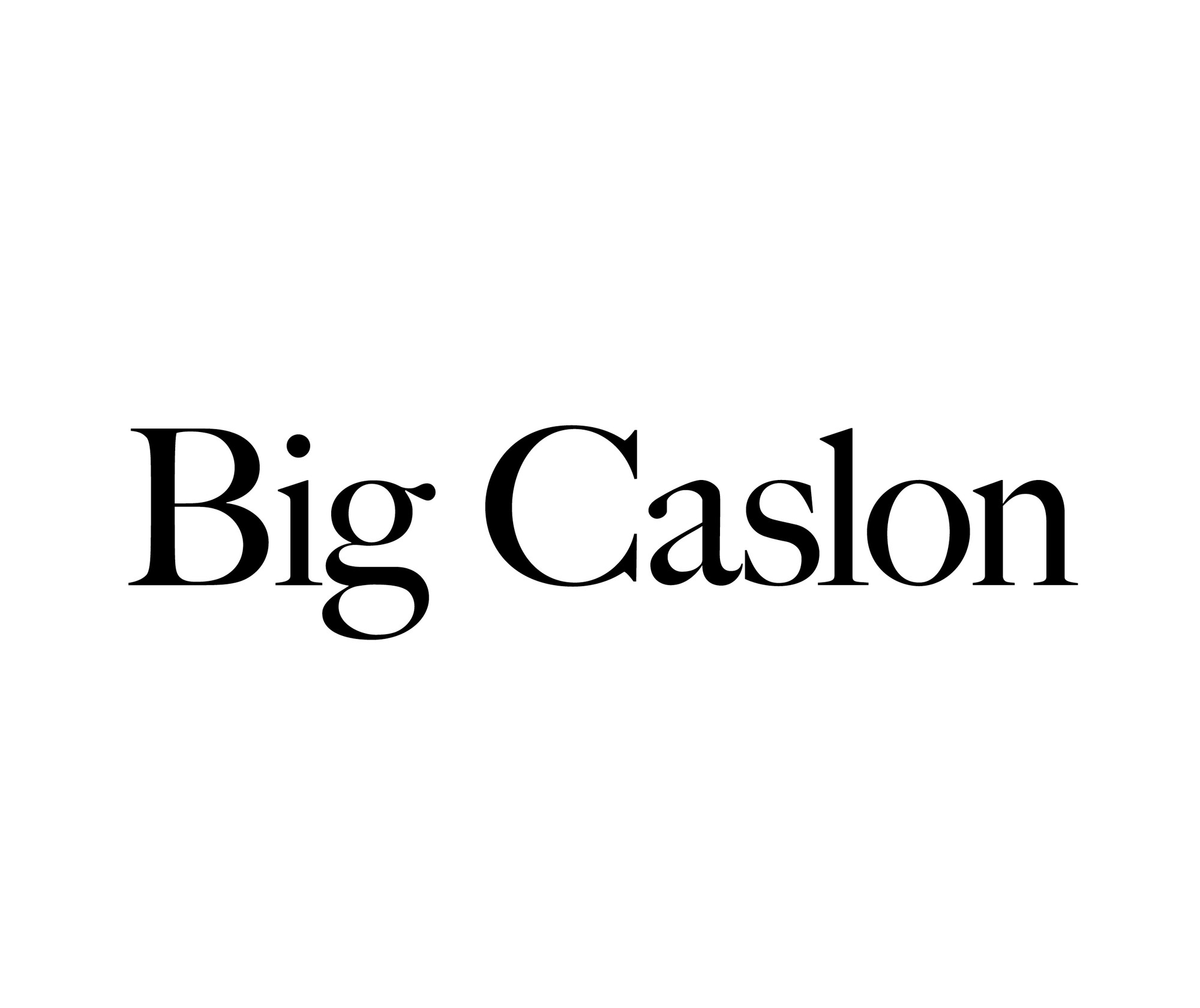 Przykładowa czcionka Big Caslon #1