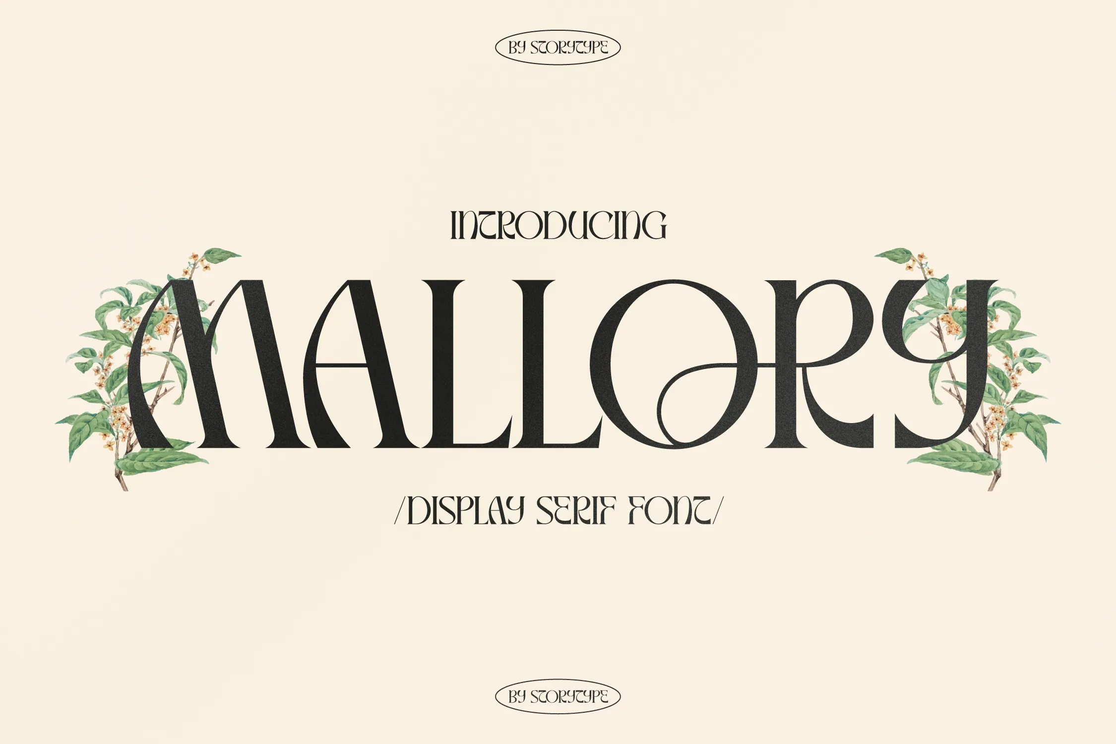 Przykładowa czcionka Mallory Display Serif #1