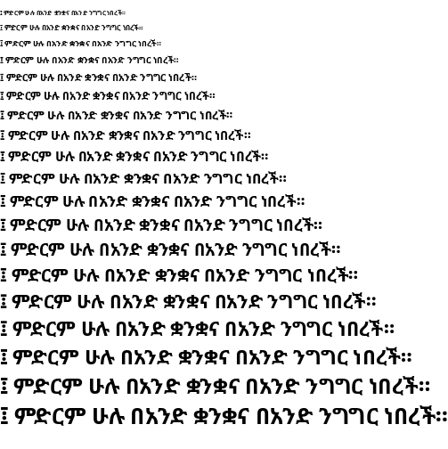 Przykładowa czcionka Noto Sans Ethiopic #1