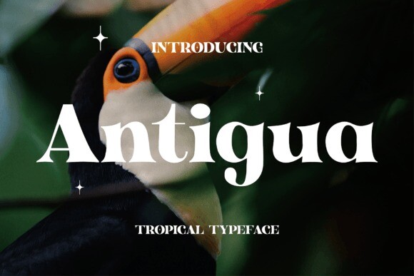 Przykładowa czcionka Antigua #1