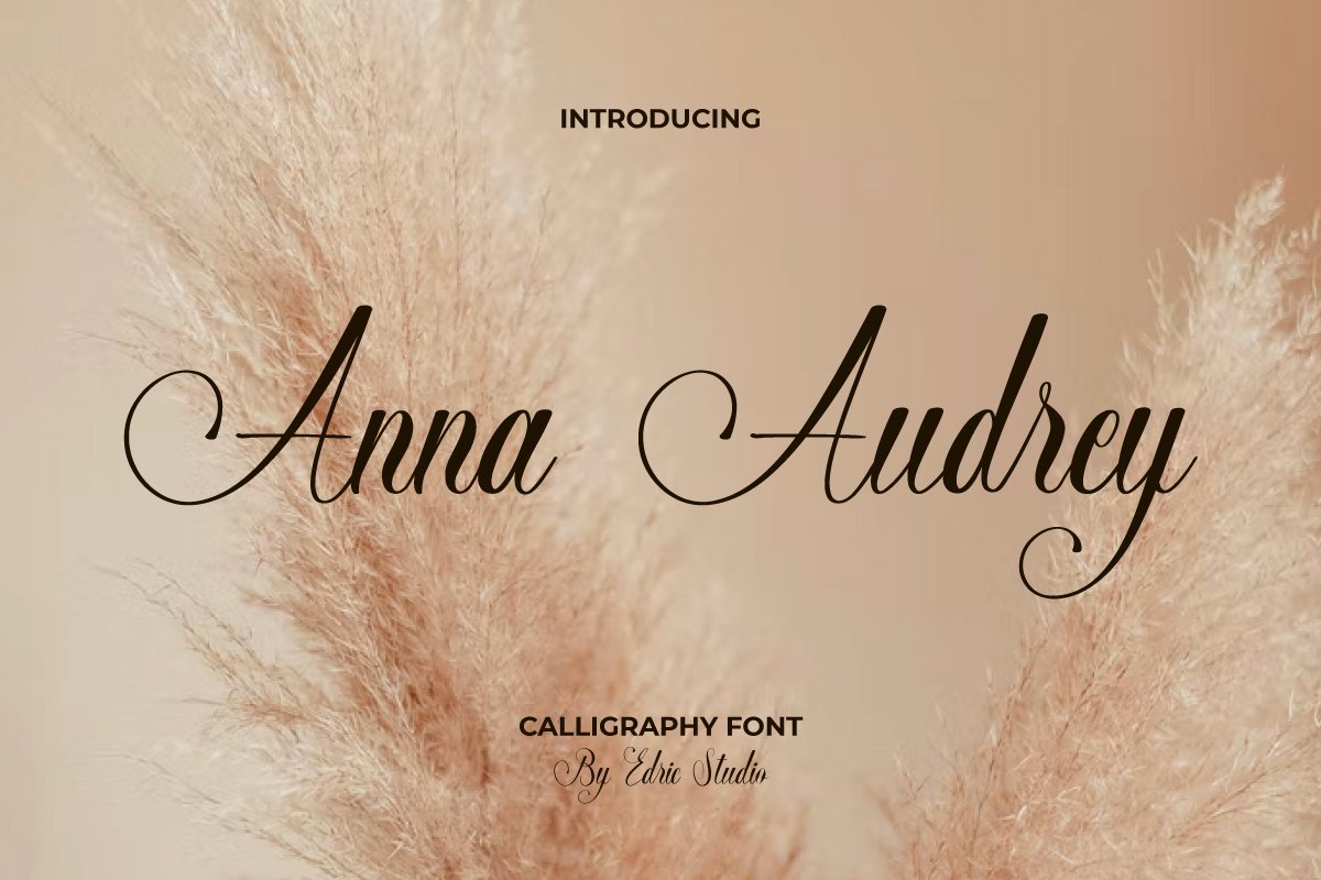 Przykładowa czcionka Anna Audrey #1