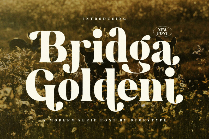 Przykładowa czcionka Bridga Goldeni #1